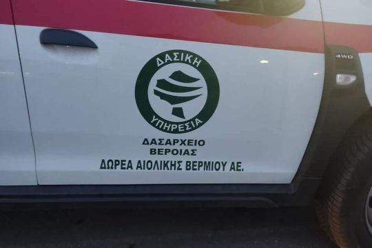 dasarxeio veroias